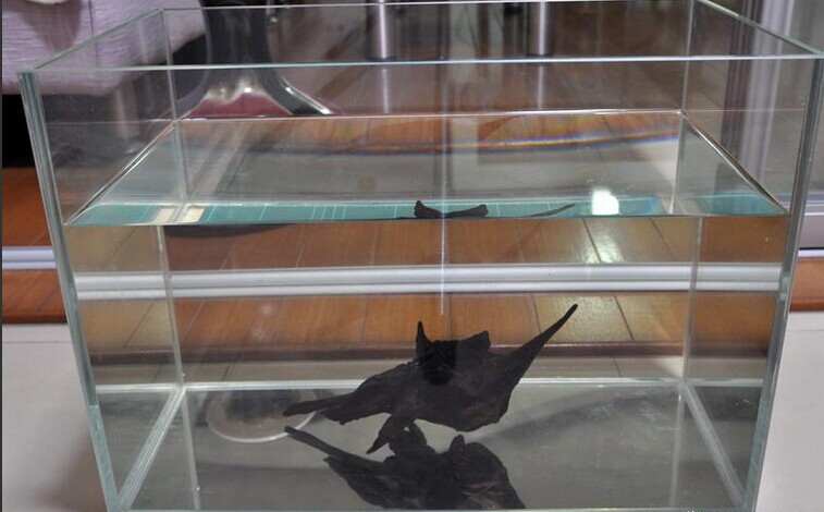 東莞有機玻璃制作 精美相框 相架